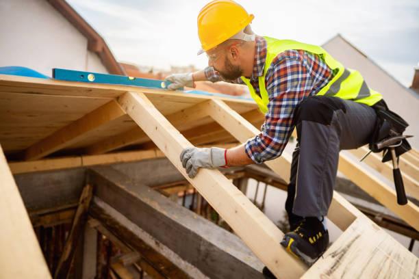 Best Roof Gutter Cleaning  in Canton, OH